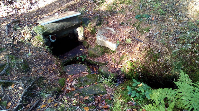 studánka bez jména (12377) - říjen 2018