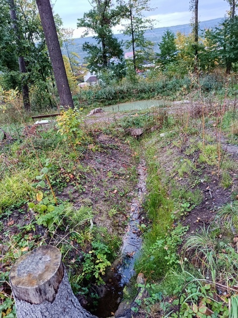 Oldřichovská studánka (12398) - datum neznámé