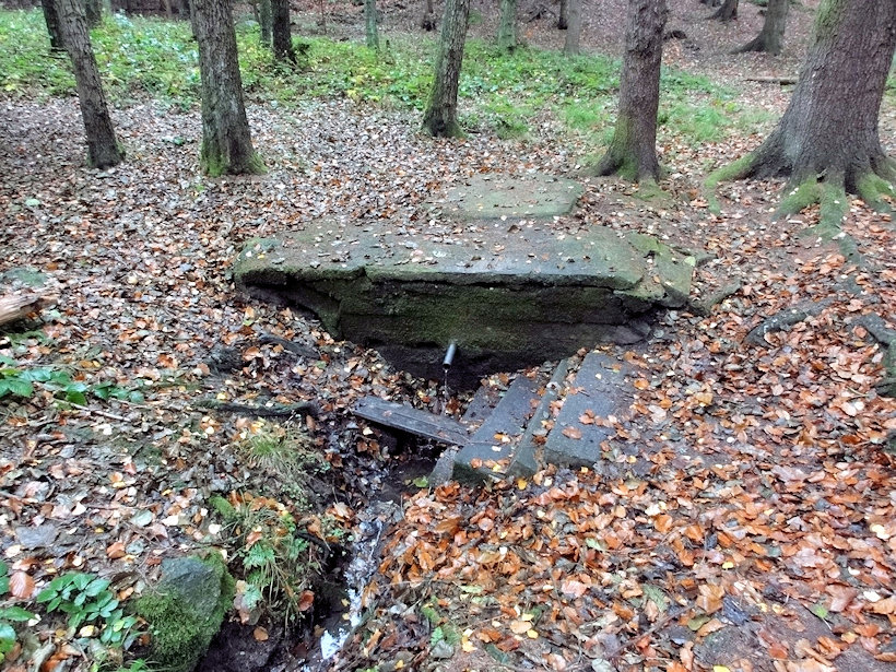 studánka Zahrádkářská (12412) - listopad 2018