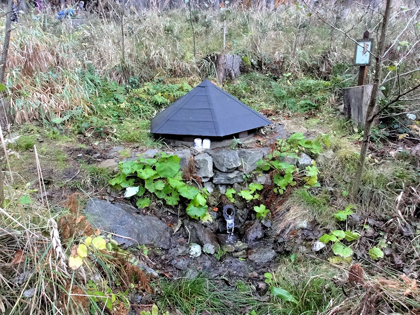 studánka Lesní (12413) - listopad 2018