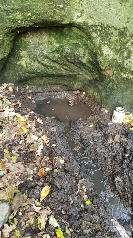 studánka bez jména (12415) - listopad 2018