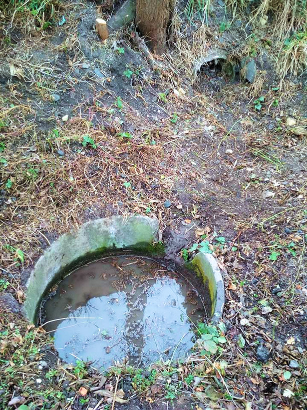 studánka Pod vinicí (12444) - prosinec 2018