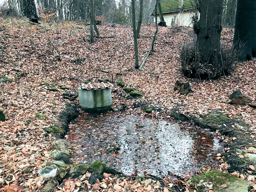 studánka V Drátěné (12445) - prosinec 2018