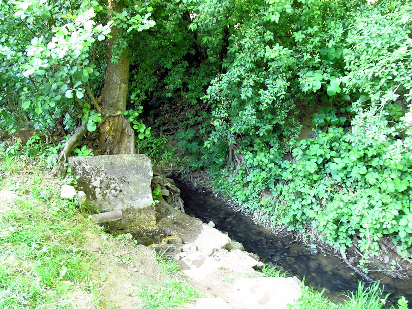 studánka U koupaliště Riviera (12466) - květen 2018
