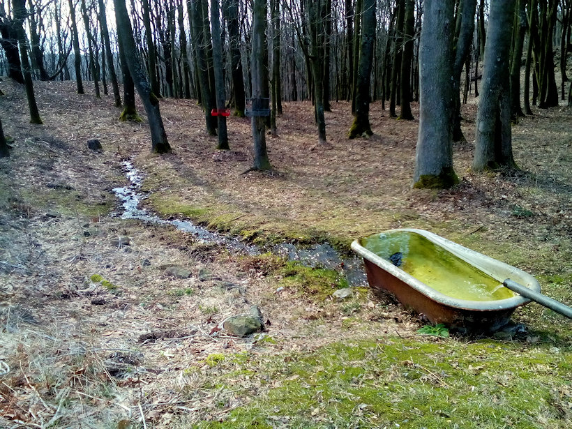 studánka U Třešňovky (12470) - únor 2019