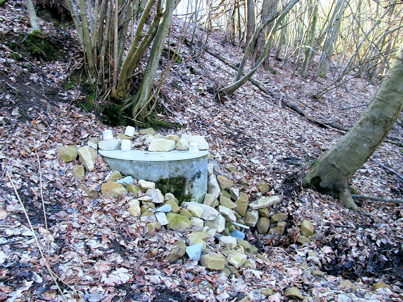 Trvajova studánka (12473) - únor 2019