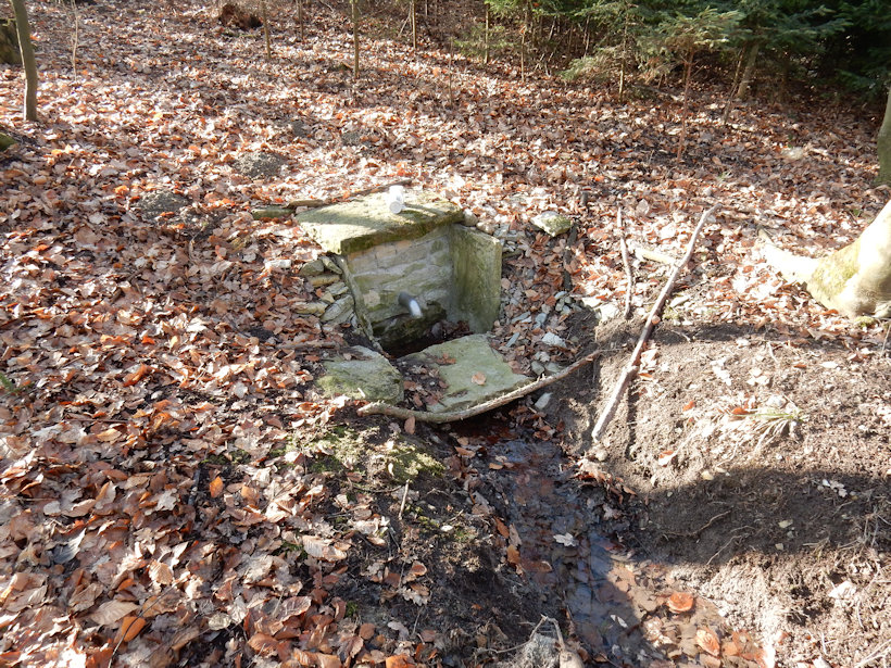 studánka U Derflíku 1 (12475) - únor 2019