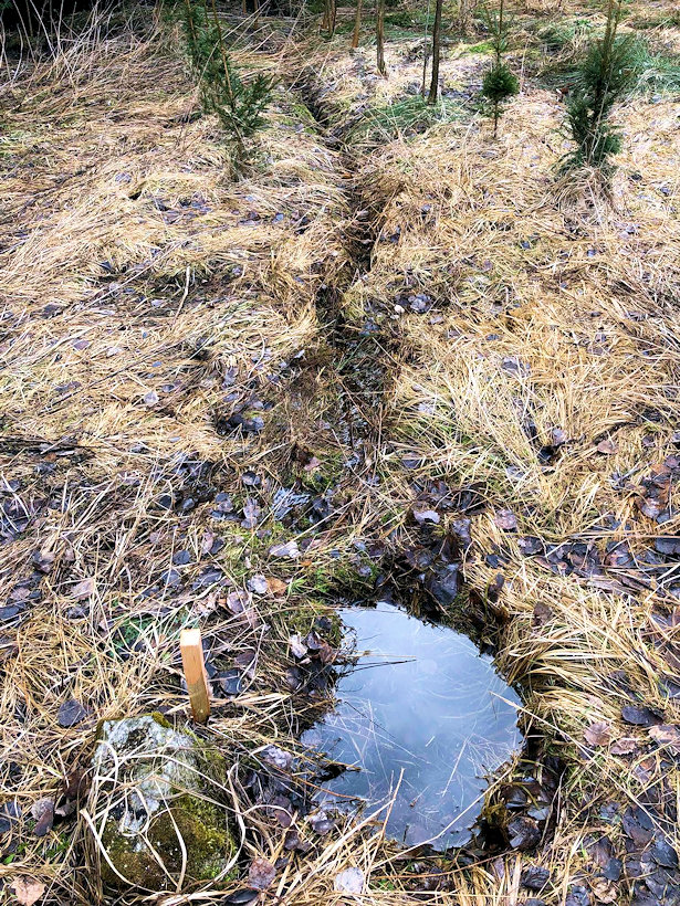 Studánka Josefínka (12481) - březen 2019
