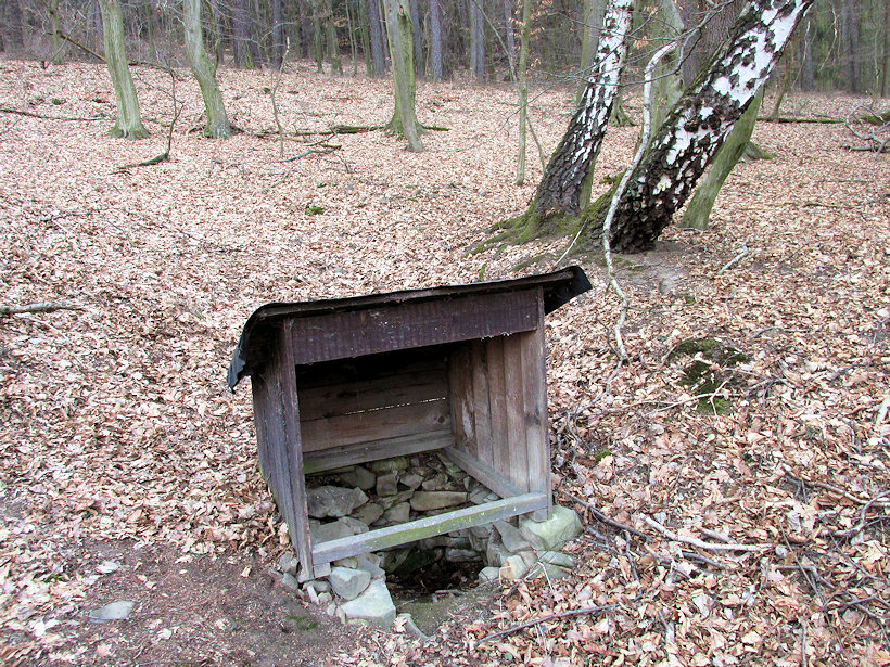 studánka Sadová (12482) - březen 2019