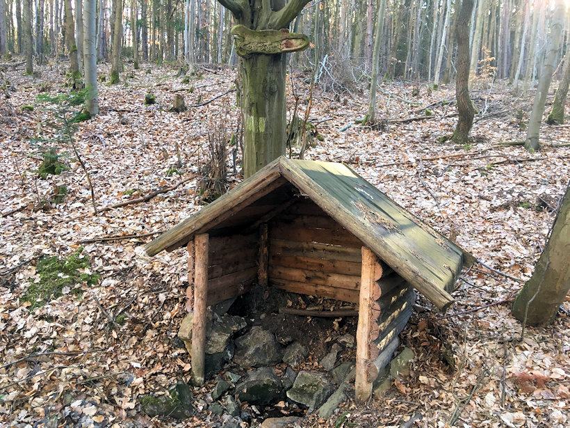 Ještěrčí studánka (12494) - březen 2019