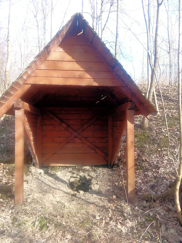 studánka Pod Vružnou (12498) - březen 2019