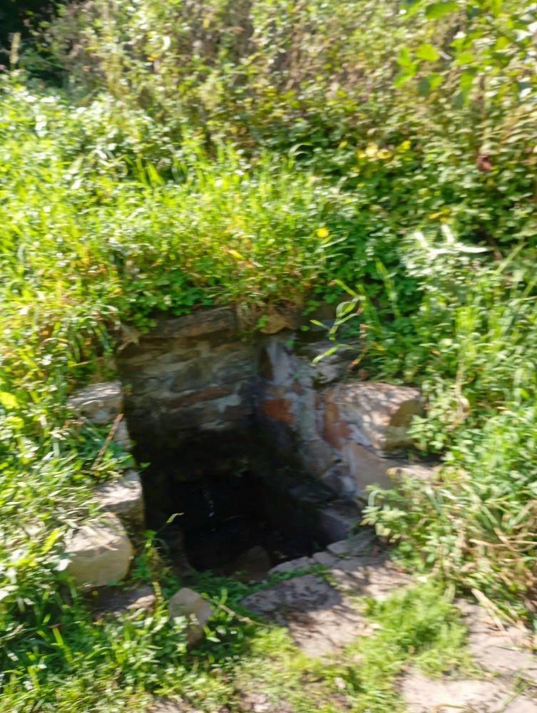 studánka Polomská (12500) - září 2025