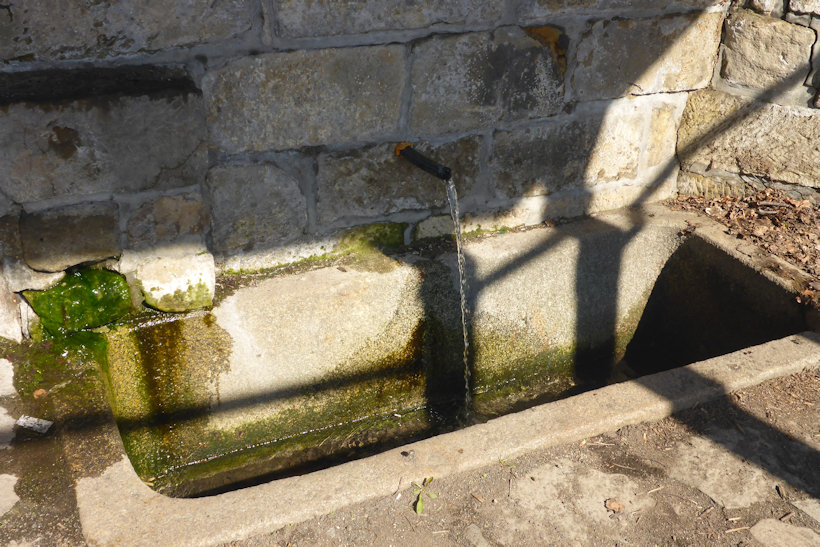 jiný vodní zdroj bez jména (12503) - březen 2019