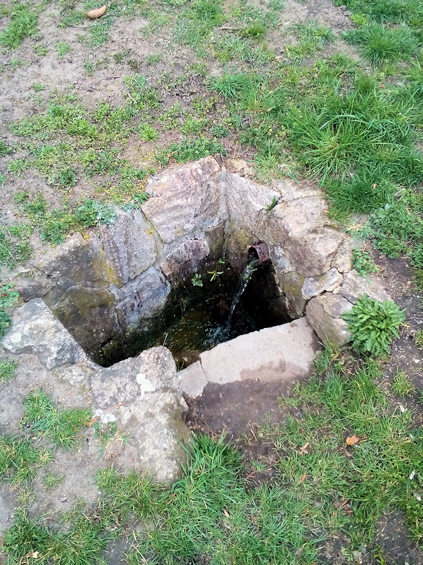 Kneippova studánka (12516) - březen 2019