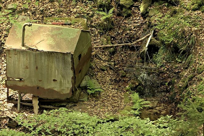 Podjanovský pramen (12517) - březen 2019