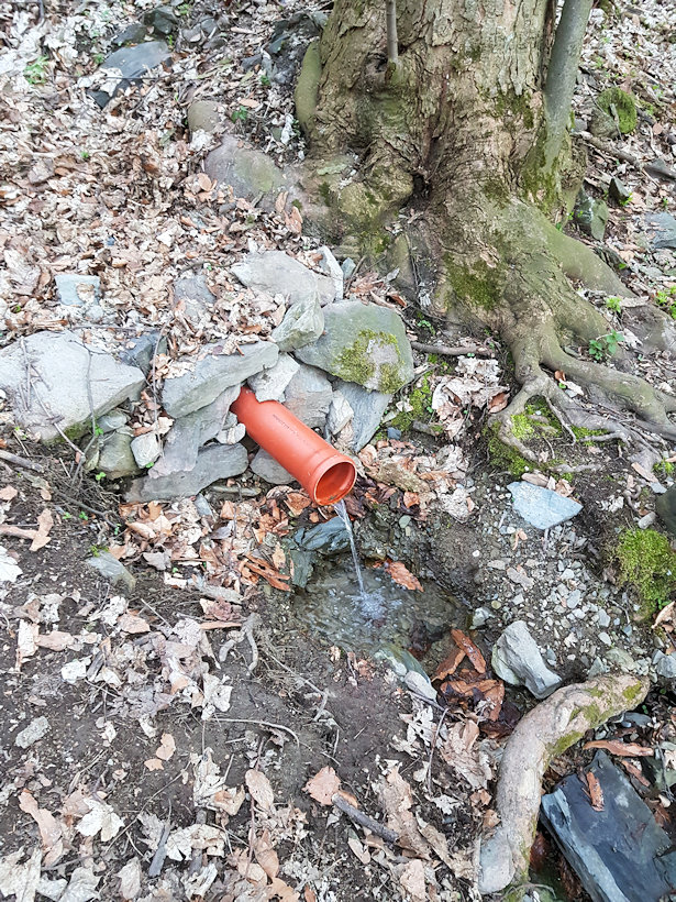 Žábí studánka (12521) - březen 2019