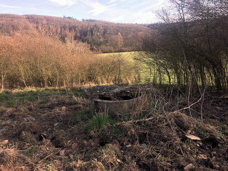 prameniště Nad Kocábou (12522) - březen 2019