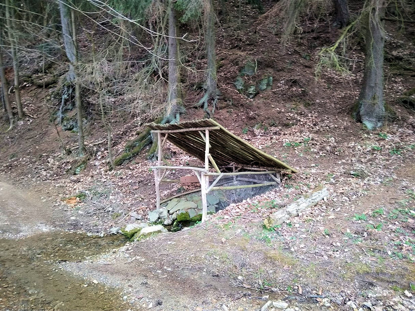 studánka Heroltická vyvěračka (12524) - březen 2019