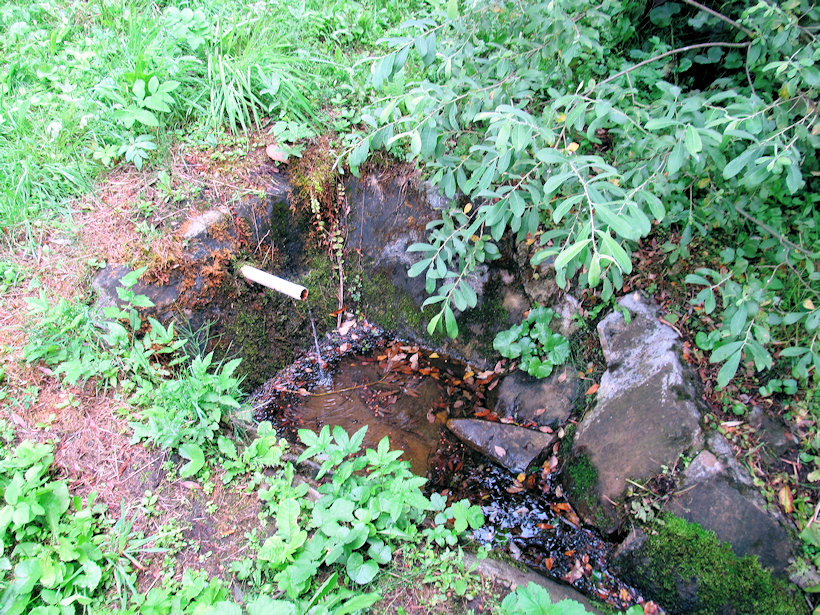 studánka U dvou vrb (12525) - červenec 2016