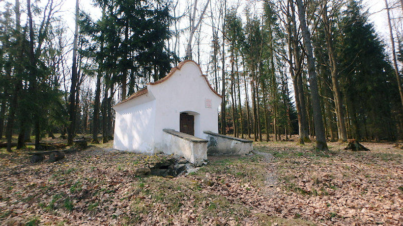 studánka Svatý Vít (12533) - duben 2019