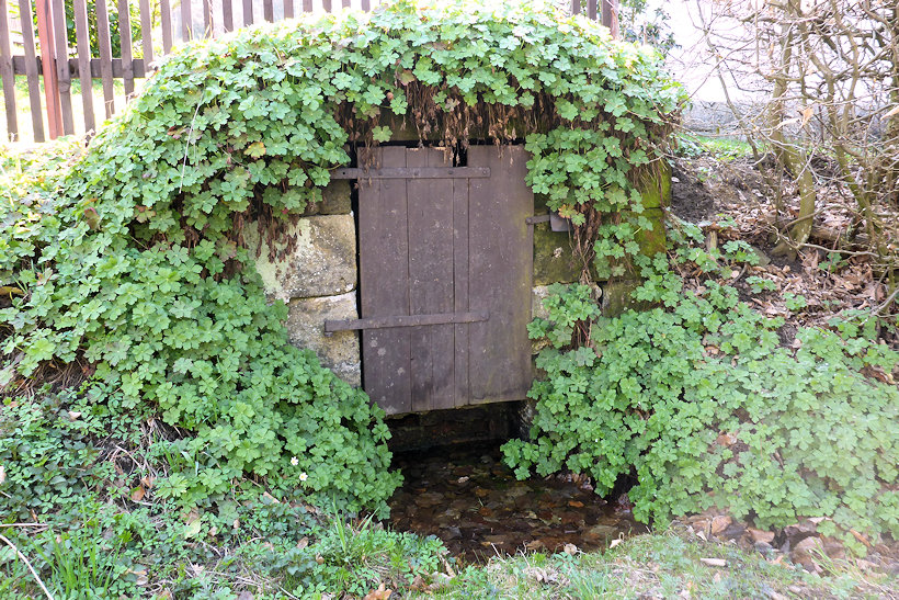 studánka bez jména (12536) - duben 2019