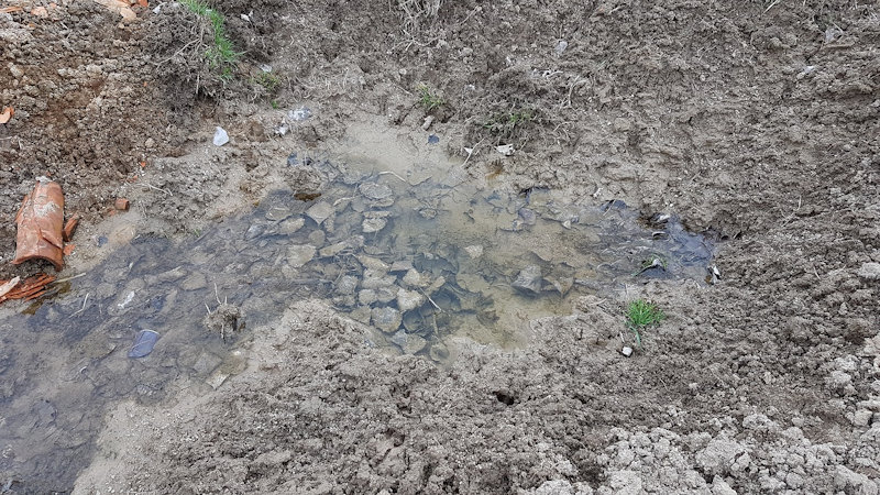 pramen bez jména (12542) - duben 2019