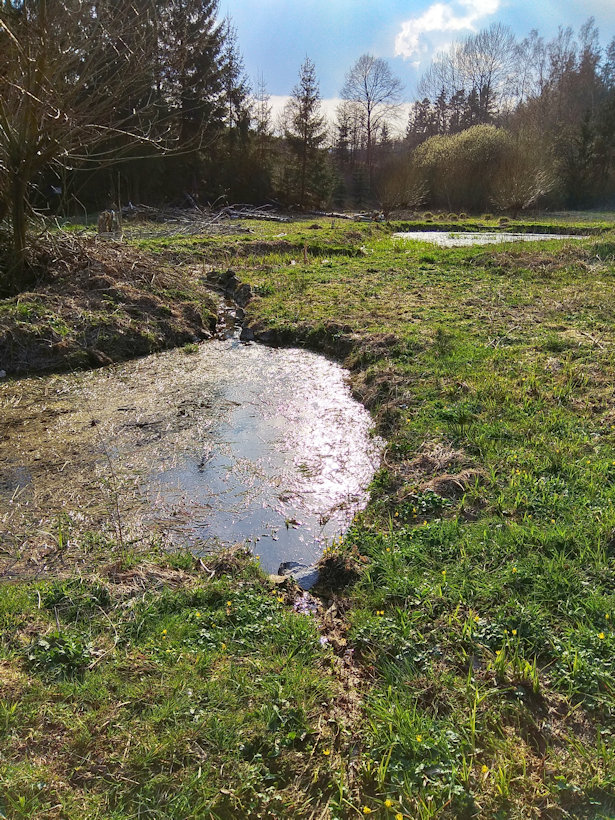 prameniště Nad rybníčky (12547) - duben 2019