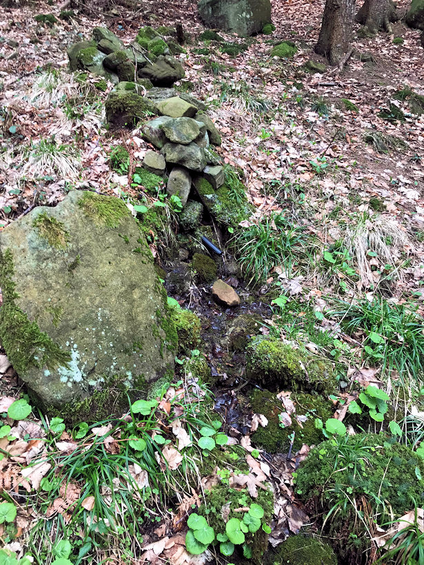 studánka Mirad (12564) - duben 2019