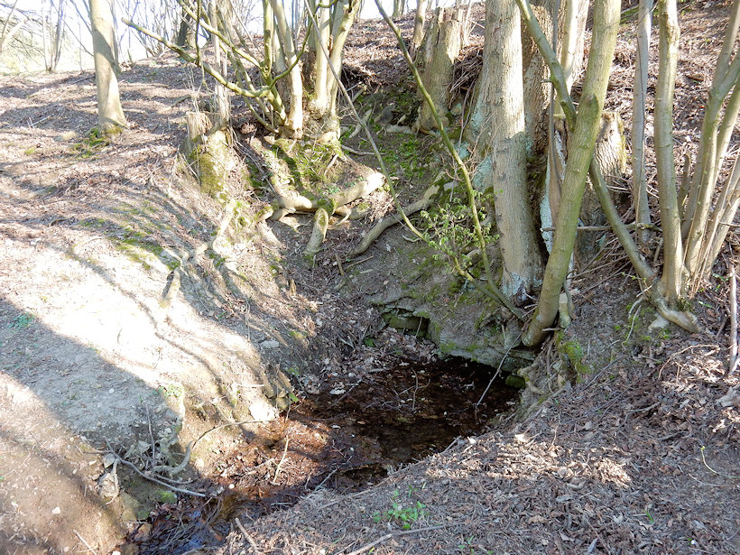 Kovářova studánka (12574) - duben 2019