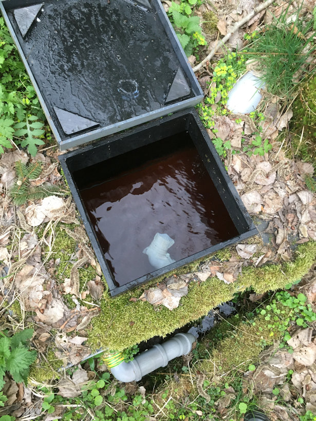 studánka Sloní pramen (12596) - duben 2019