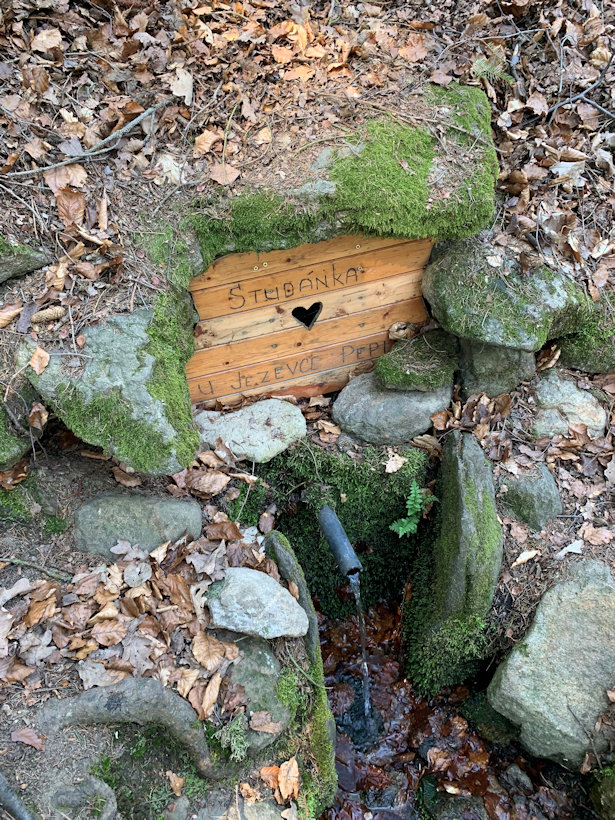 studánka U Jezevce Pepi (12597) - duben 2019