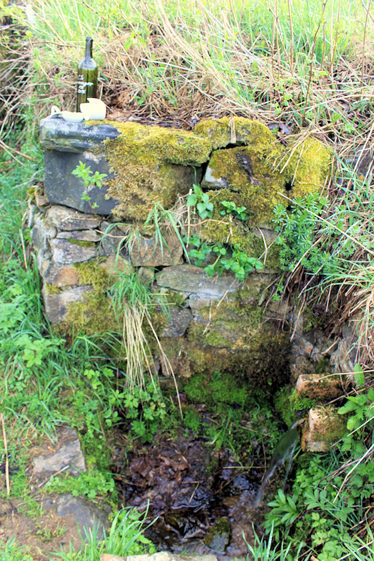 Hřebenová studánka (12598) - duben 2019