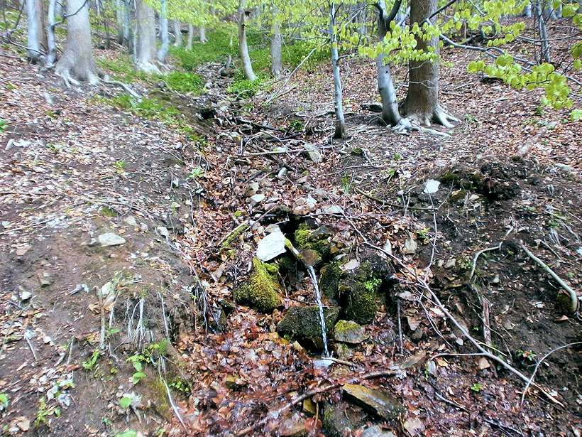 studánka bez jména (12600) - duben 2019