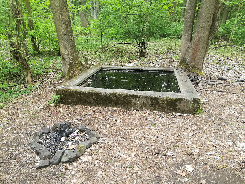 pramen Svatý vrch (12604) - duben 2019