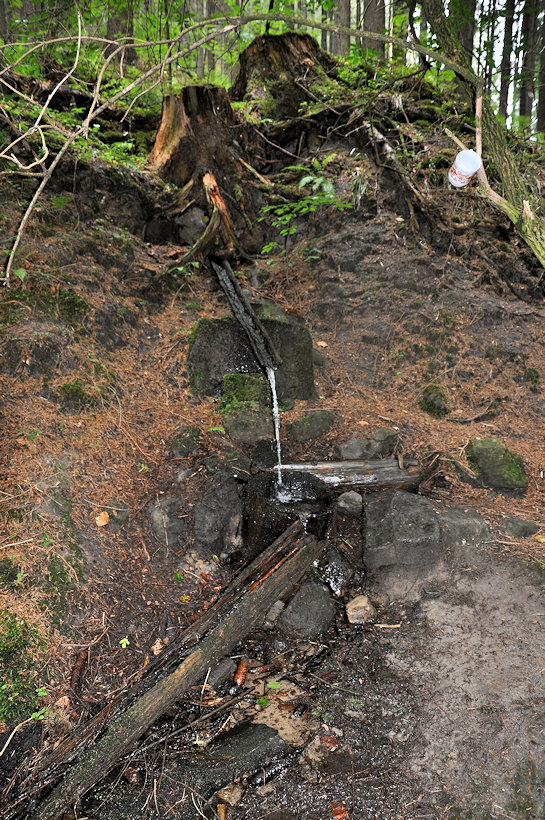 studánka Pod hradem (12605) - červenec 2018