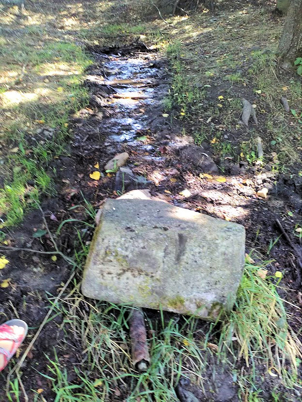 Studánka nad řekou (12630) - květen 2019