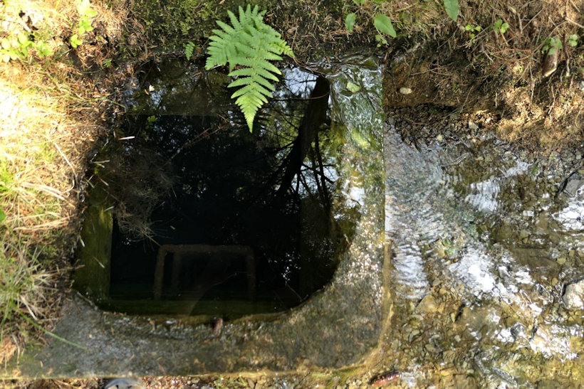 studánka bez jména (12692) - červen 2019