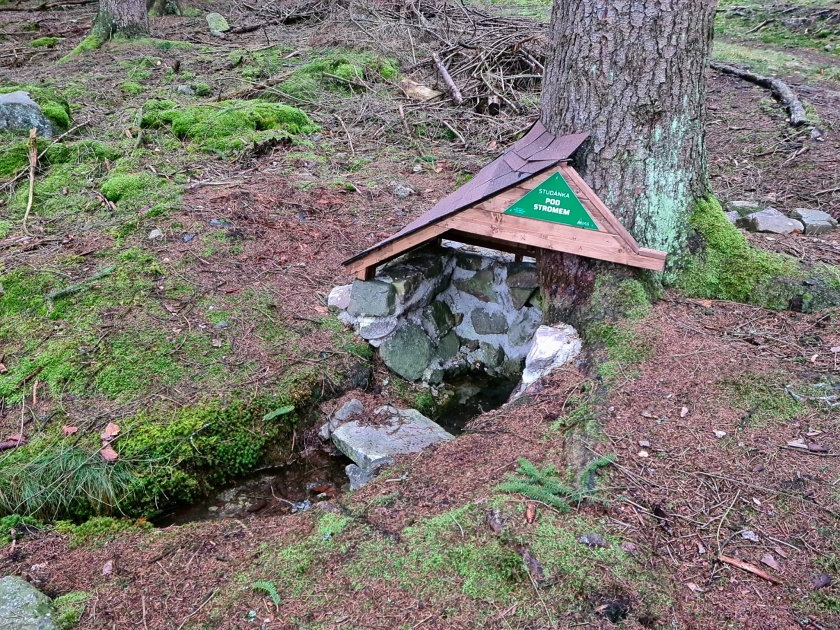 studánka Pod stromem (12699) - datum neznámé
