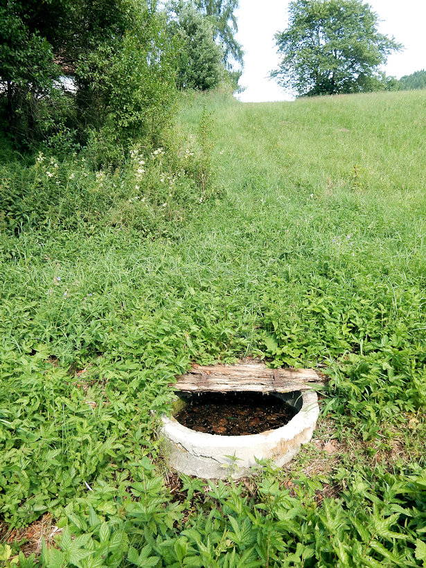 studánka U silnice (12733) - červenec 2019
