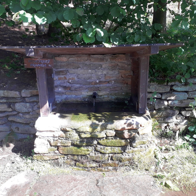 studánka Pohorský pramen (12740) - červenec 2019