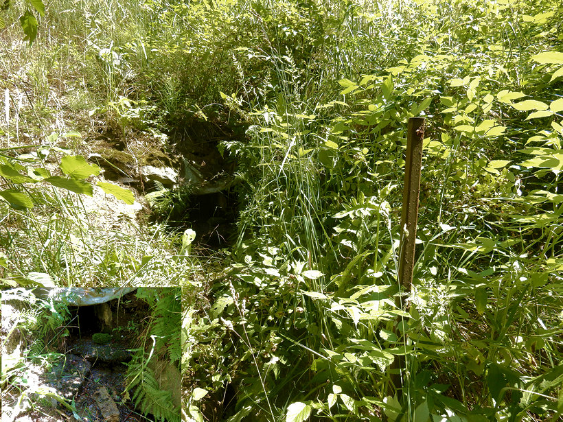 studánka U sv. Václava (12755) - červenec 2019