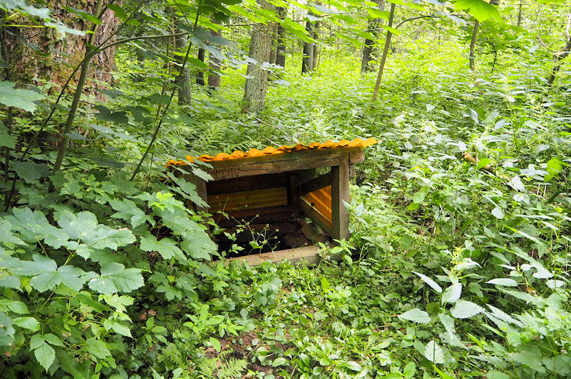 studánka Smrčí (12761) - listopad -0001