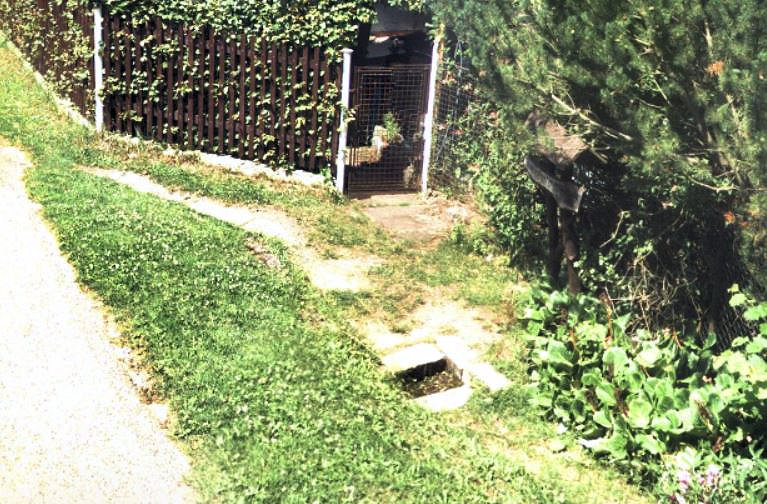 studánka U hada (12787) - červenec 2019