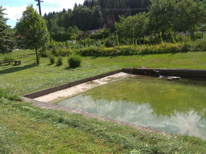pramen U hasičské nádrže (12793) - červenec 2019