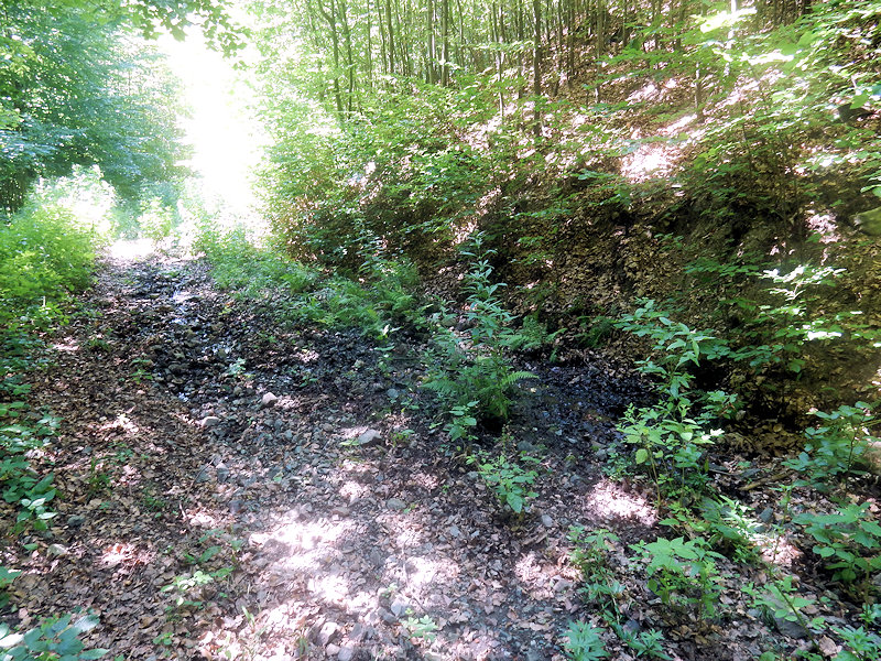 pramen Hradiska 2 (12806) - červenec 2019