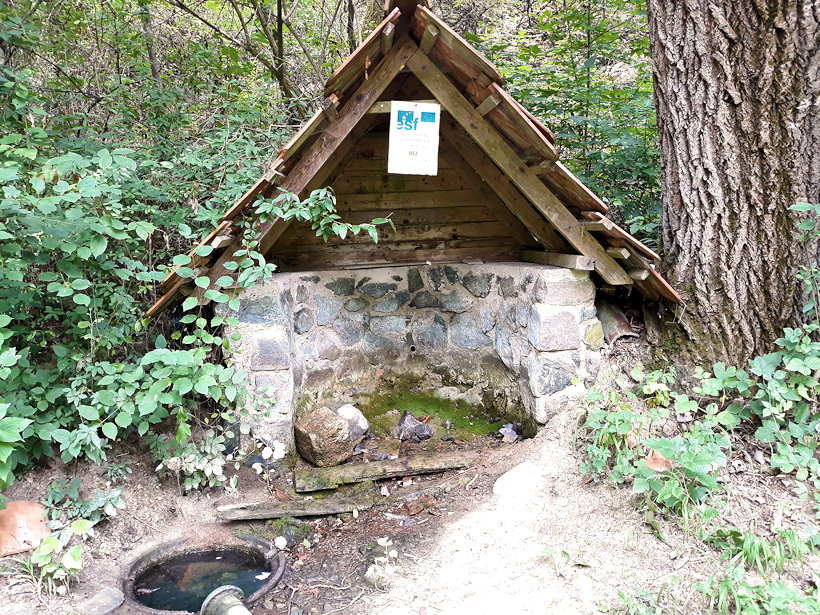 Němčická studánka (12813) - červenec 2019
