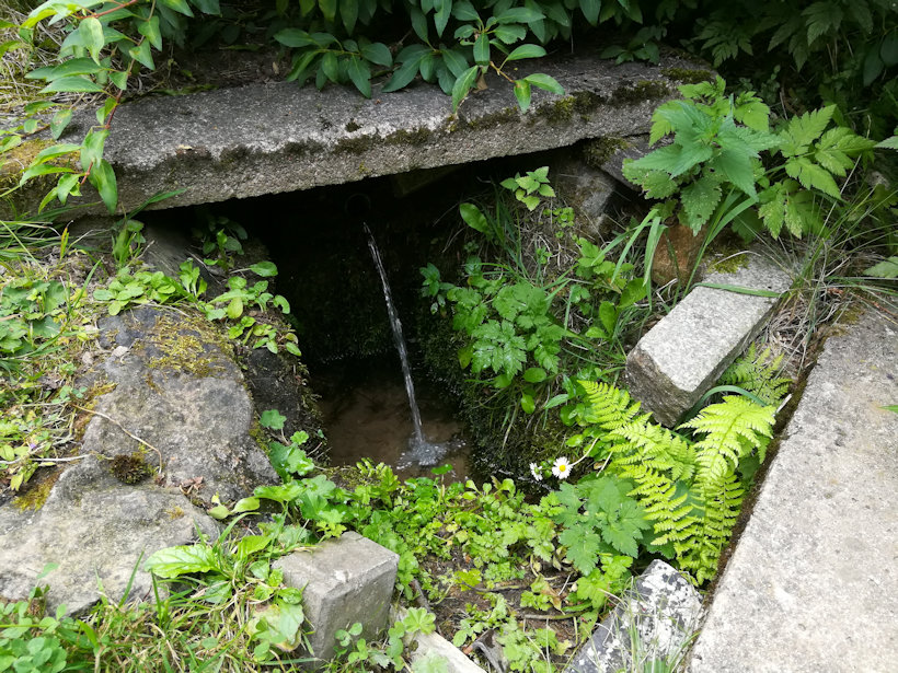 studánka Pod Pejchalovým mlýnem (12816) - červenec 2019