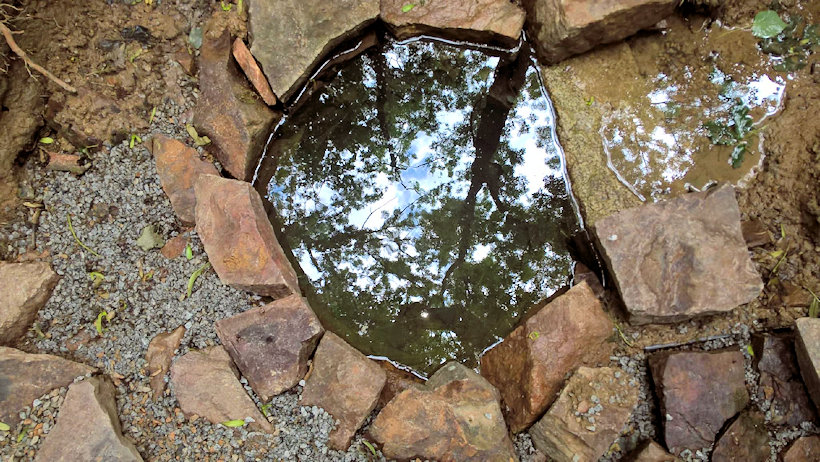 Vechetova studánka (12828) - srpen 2019