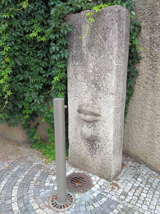 jiný vodní zdroj bez jména (12837) - červenec 2019