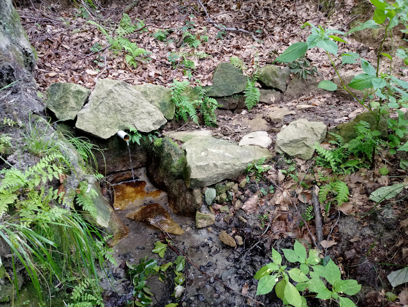 studánka Pod bukem (12851) - srpen 2019